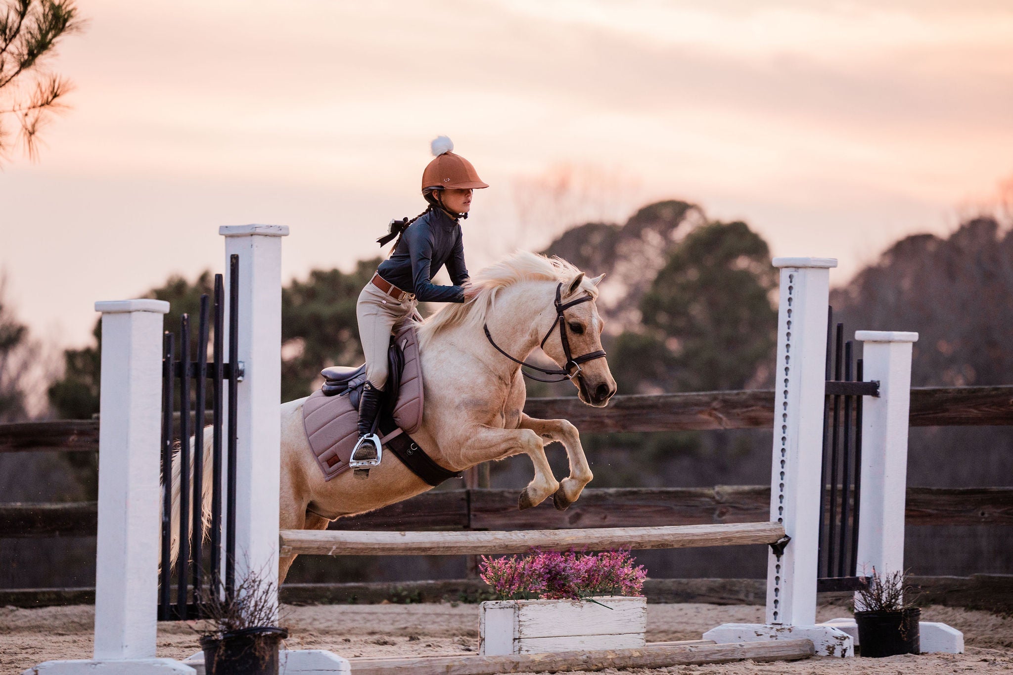 Young Rider – The Proper Fox