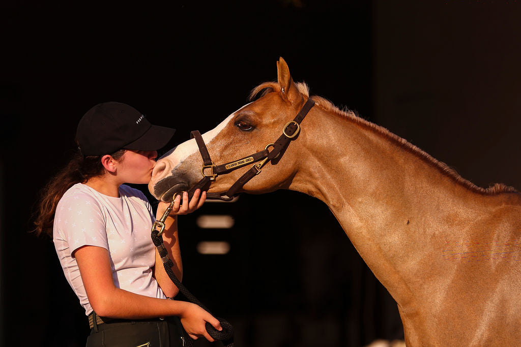 Beige Short Sleeve