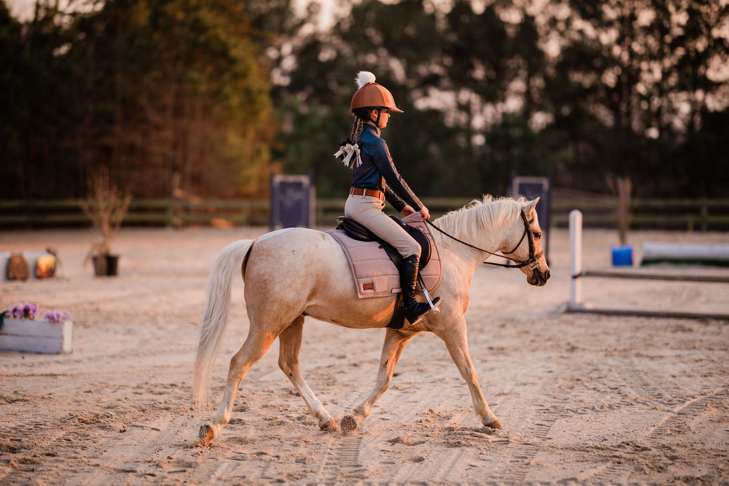 Equestrian Horse Show Bow, Fox Pattern