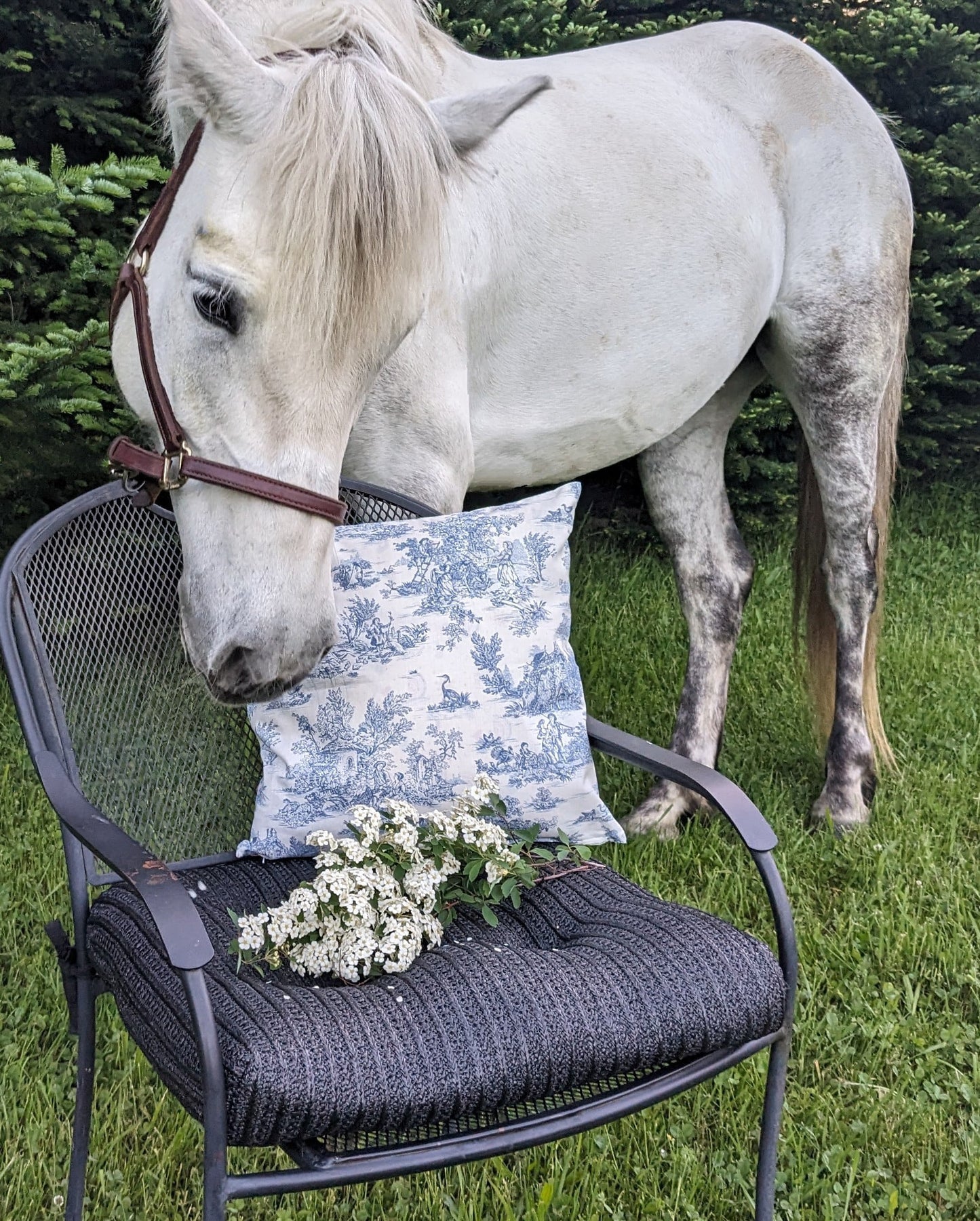 Tessa Pillow Cover