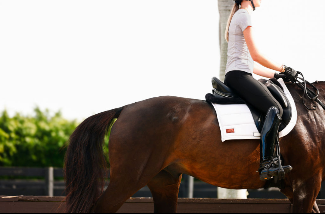 Soft White Dressage Pad
