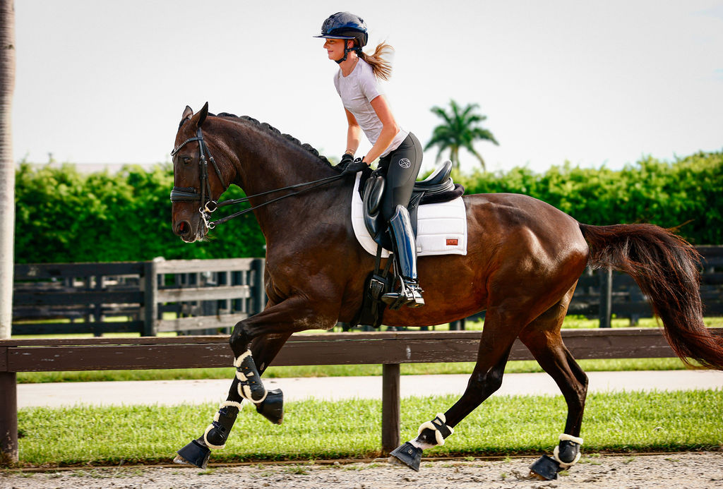 Soft White Dressage Pad