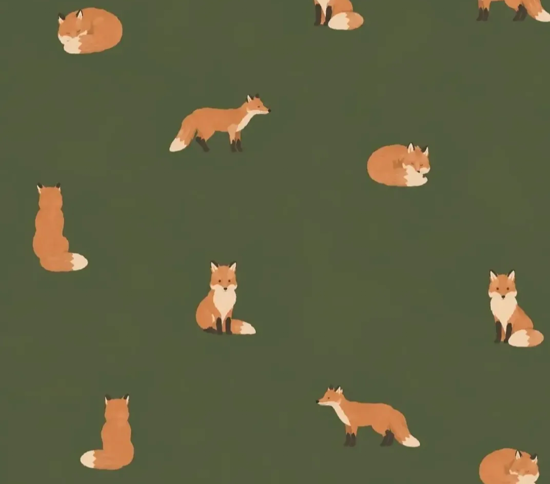 Olive Fox Sunshirt